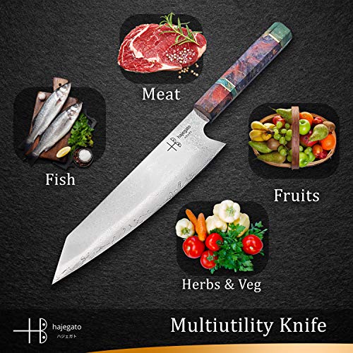 Hajegato Cuchillo de Chef Damasco Mango Profesional único, Cuchillo de Cocina japonés Vg10, 67 Capas de Acero de Damasco con Funda (Kiritsuke Knife - 20 Cm)