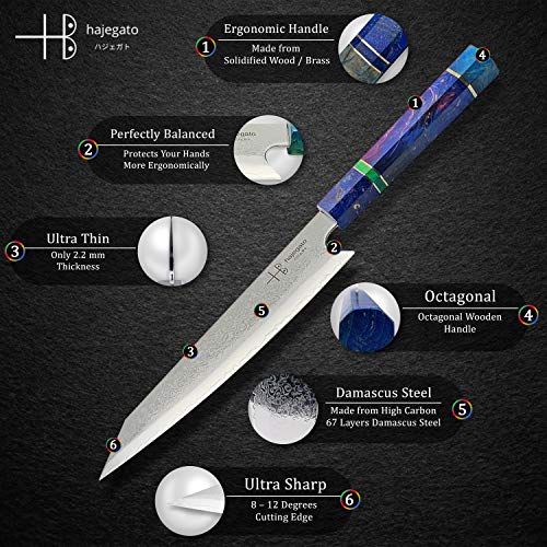 Hajegato Cuchillo de Chef Damasco Mango Profesional único, Cuchillo de Cocina japonés Vg10, 67 Capas de Acero de Damasco con Funda (Kiritsuke Knife - 20 Cm)