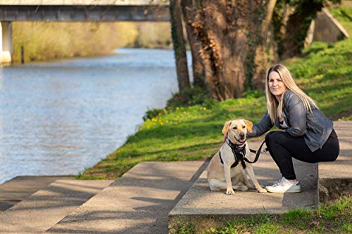 Halti No Pull Harness - Arnés sin tirones para perros medianos