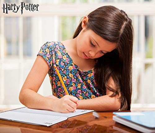 HARRY POTTER Diario Secreto Diario Secreto De Hogwarts con Candado y Llaves | Papelería Bonita para Niñas con Pluma Tinta Invisible | Regalos para Niñas o Niños
