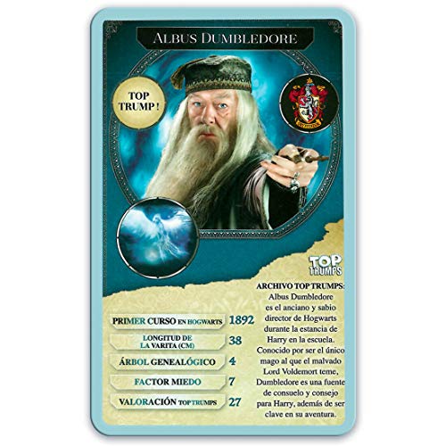 HARRY POTTER Puzzle 1000 Piezas (12319), Multicolor (Eleven Force 1)