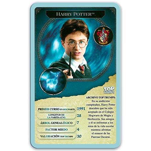 HARRY POTTER Puzzle 1000 Piezas (12319), Multicolor (Eleven Force 1)