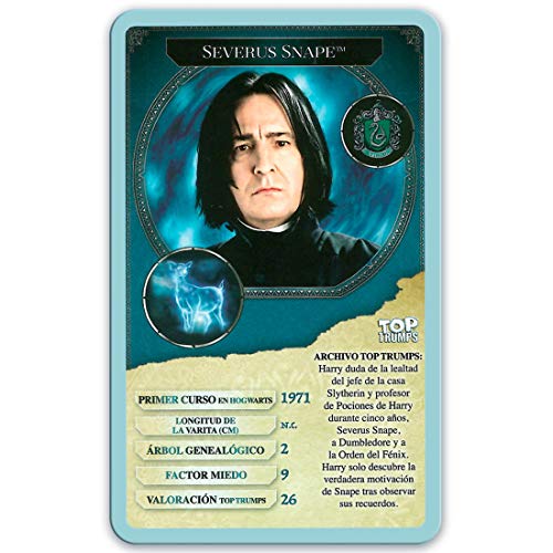 HARRY POTTER Puzzle 1000 Piezas (12319), Multicolor (Eleven Force 1)