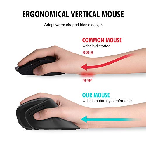havit Ratón Inalámbrico Vertical Ergonómico 2.4 G óptico,Adecuado para Uso de Oficina a Largo Plazo, 3 Niveles Ajustables, 6 Botones,para Windows, Linux y Otro(MS55GT, Negro)