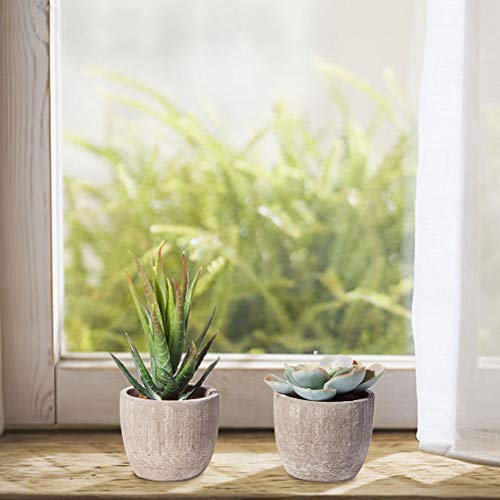 HB life 5 Piezas Plantas Suculentas Artificiales Plastico Maceta Decorativas, Plantas Artificiales Verdes para Casa, Cocina, Jardín Hogar Oficina Decoración