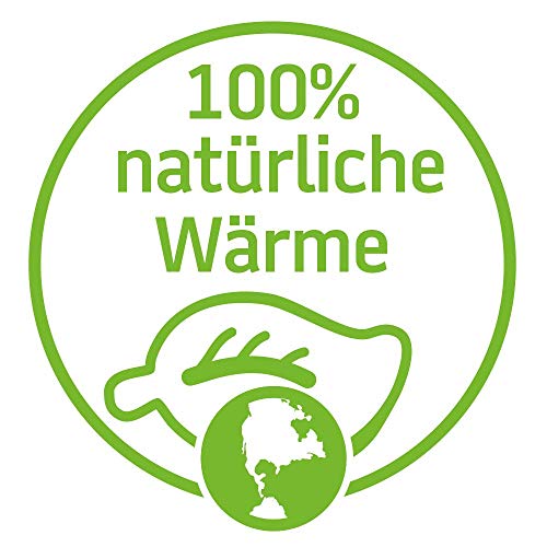 HeatPaxx HX101 - Calentador para pies (40 pares, con caja expositora)