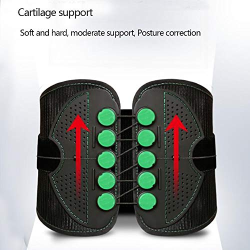 HELIALTH Faja Lumbar Fitness - Entrenador Abdominal - Tratamiento de la escoliosis, Discos herniados distensión Muscular Lumbar - Tracción de la polea,L