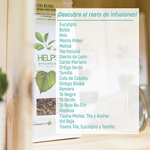 HELPS INFUSIONES - Infusión De Cola De Caballo Diurética BIO. Té Drenante De Cola De Caballo. Bolsa A Granel De 100 Gramos.