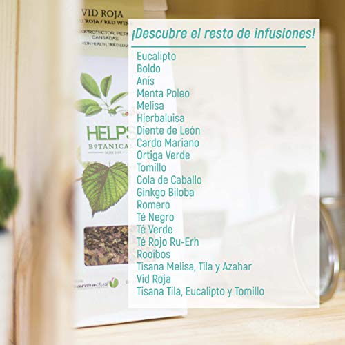 HELPS INFUSIONES - Té Verde A Granel 100% Natural. Infusión Diurética, Antioxidante, Quemagrasas Y Adelgazante. Bolsa A Granel De 100 Gramos.