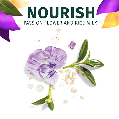 Herbal Essence bio:Renew Champú, Flor de la Pasión y Leche de Arroz Nutrir, 400 ml