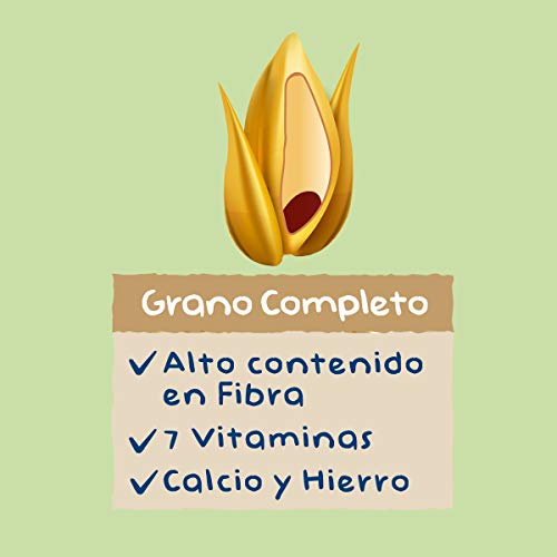 Hero Baby - Natur Papilla 8 Cereales Miel 820 g