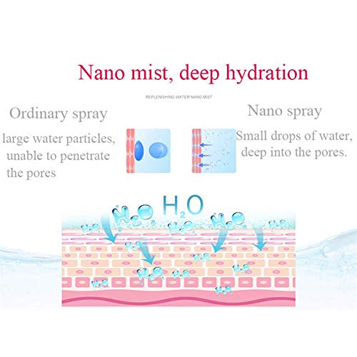 HEZHENG Iónica Vapor Facial 3 En 1 Multi-Función para Las Espinillas Caliente Niebla para Destapa Los Poros Máscara Facial Socio Facial Sauna SPA