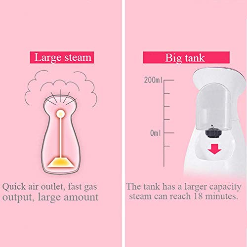 HEZHENG Iónica Vapor Facial 3 En 1 Multi-Función para Las Espinillas Caliente Niebla para Destapa Los Poros Máscara Facial Socio Facial Sauna SPA