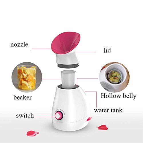 HEZHENG Iónica Vapor Facial 3 En 1 Multi-Función para Las Espinillas Caliente Niebla para Destapa Los Poros Máscara Facial Socio Facial Sauna SPA