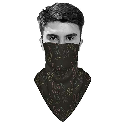 hfdff Mascarilla Facial de Tela de Zanahoria y Cara de Conejo Lavable, sólida, Lavable, Transpirable, Elegante, pañuelo Facial para Interiores y Exteriores