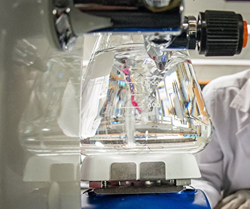 Hidratante antienvejecimiento Carbon 60 50ml con ácido hialurónico, vitaminas B + C + E y CoQ 10 para hombres y mujeres hechos con ingredientes orgánicos