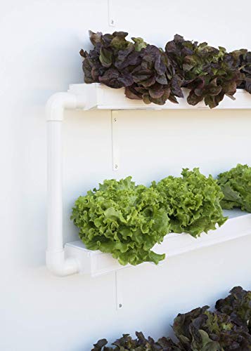 Hidroponía, Huerto Vertical para Cultivo de 16 Plantas, con depósito de 50 litros y riego automático. Bomba y abono hidropónico. SIN Pegamento PVC