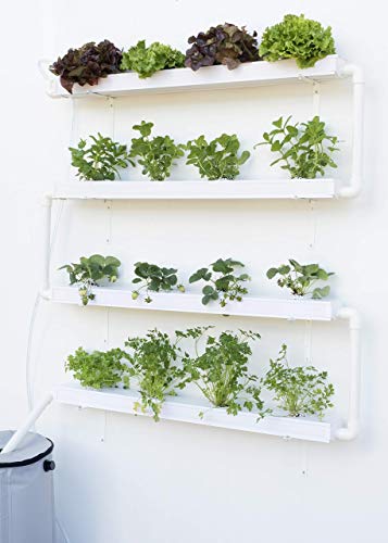 Hidroponía, Huerto Vertical para Cultivo de 16 Plantas, con depósito de 50 litros y riego automático. Bomba y abono hidropónico. SIN Pegamento PVC