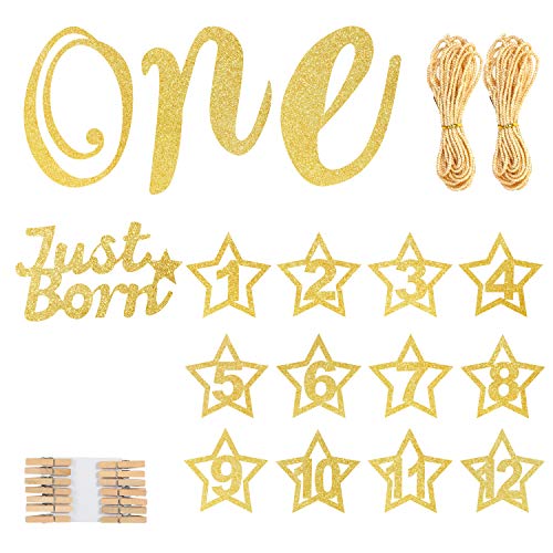 Hifot 1er Cumpleaños Foto Banner con Silla Alta Glitter Decoración Fiesta bebé Oro, Foto de bebé para recién Nacido a 12 Meses Primer cumpleaños decoración