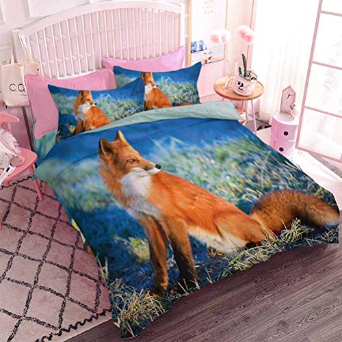 Hiiiman - Juego de 3 piezas para todas las estaciones, el panorama de un valle y el bosque místico de pinos, diseño de bosque natural, 1 funda de edredón y 2 fundas de almohada