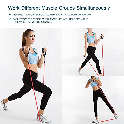 Himaly Bandas Ejercicio, Banda Elástica de Resistencia Juego de 5 Cintas Elásticas Set Cintas Elásticas Fitness Para Yoga, CrossFit, Pilates Fuerza, Movilidad, Entrenamiento Gimnasio 5 PCS