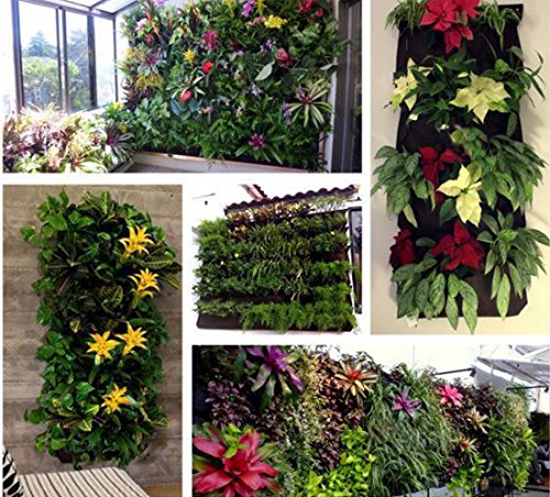 HIMM - 7 poches murales verticales pour plantation - Décoration idéale pour votre jardin ou maison