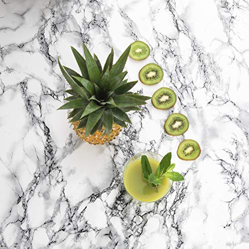 H.Koenig GSX18 - Licuadora para fruta y verdura de prensado en frio, extractor de jugos vertical, 400 W, 1 l .