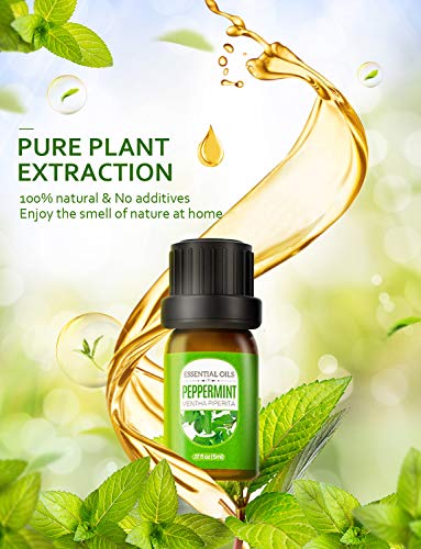 Homasy Caja De Aceites Esenciales, 10 X 5 ml Aceites Esenciales Orgánicos Puros Al 100% Para Difusor/Humidificador, El Mejor Regalo, Lavanda, Naranja Dulce, árbol De Té, Hierba De Limón, Etc.