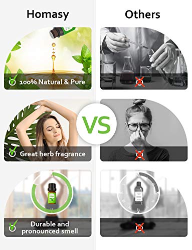 Homasy Caja De Aceites Esenciales, 10 X 5 ml Aceites Esenciales Orgánicos Puros Al 100% Para Difusor/Humidificador, El Mejor Regalo, Lavanda, Naranja Dulce, árbol De Té, Hierba De Limón, Etc.