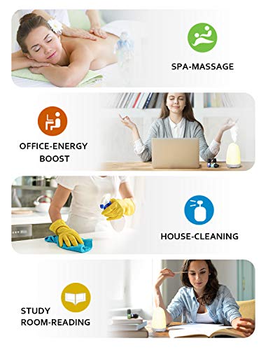 Homasy Caja De Aceites Esenciales, 10 X 5 ml Aceites Esenciales Orgánicos Puros Al 100% Para Difusor/Humidificador, El Mejor Regalo, Lavanda, Naranja Dulce, árbol De Té, Hierba De Limón, Etc.