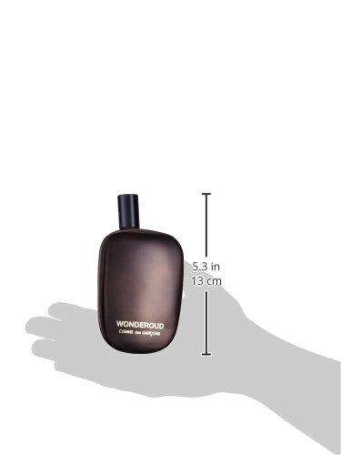 Homme Comme des Garcons Maravilla Madera/hombres, Eau de Parfum/Spray, 1er Pack (1 x 100 ml)
