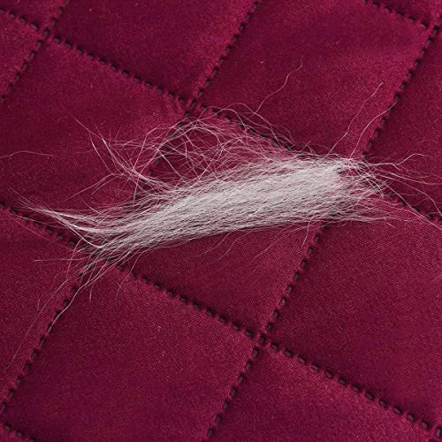 HONCENMAX Funda Cubre Sofá - Protector para Sofás Acolchado - Anti-Sucio para Mascotas Protector de Sofá Muebles - 3 Plazas (110''X 75'')