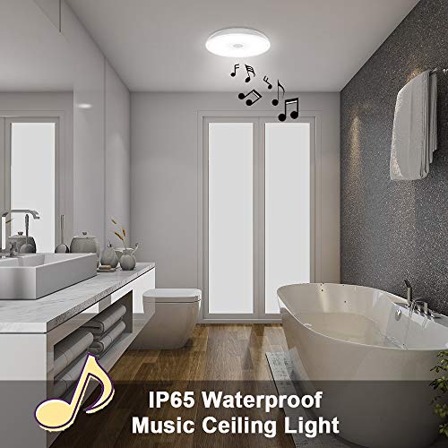 Horevo 18W LED Lámpara de Techo con Altavoz Bluetooth, IP65 1600LM Plafón de Techo con Cambio de Color Redondo Moderno Φ28cm, 6500K Blanco Frío para Baño, Salón, Cocina, Pasillo (Certificación CE)