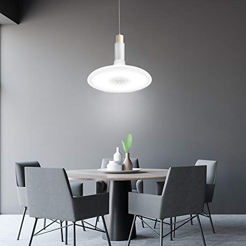 Horevo 18W LED Lámpara de Techo con Altavoz Bluetooth, IP65 1600LM Plafón de Techo con Cambio de Color Redondo Moderno Φ28cm, 6500K Blanco Frío para Baño, Salón, Cocina, Pasillo (Certificación CE)