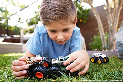 Hot Wheels Monster Trucks 1:64, modelso surtidos, coches de juguetes para niños + 3 años (Mattel FYJ44)