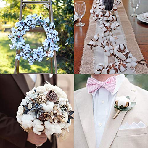 HUAESIN 20Pcs Ramo de Flores Secas Decoracion Jarrones Rama Algodon Natural Flor Blanca Artificial Flores de Algdon para Boda Fiesta Hogar Mesa Macetero Terraza Balcon Cocina Dormitorio Iglesia