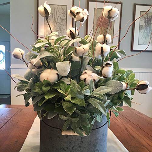 HUAESIN 20Pcs Ramo de Flores Secas Decoracion Jarrones Rama Algodon Natural Flor Blanca Artificial Flores de Algdon para Boda Fiesta Hogar Mesa Macetero Terraza Balcon Cocina Dormitorio Iglesia