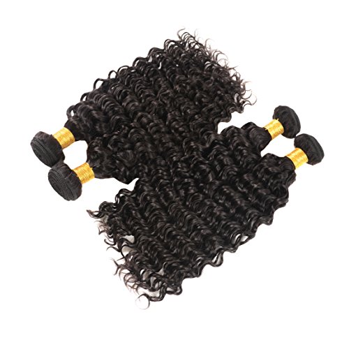 Huarisi 4 Paquetes Deep Wave Hair 20 22 24 26 Inches Deep Curly Brazilian Virgin Hair Weaves 100% Human Hair Bundles Double Weft for Women