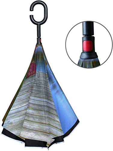 huatongxin Double Layer Rain Ourdoor Car with C Handle Paraguas invertido Beautiful Lake Fores Blue Sky