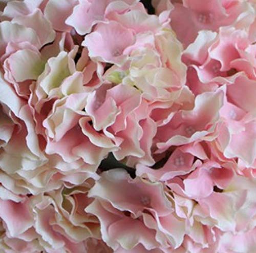 Huishuo Hortensia De Simulación 5 Hortensia Grande De Mallorca Hortensia De Boda Flor De Simulación Flor De Seda Arco Camino Introducir Rosa Claro