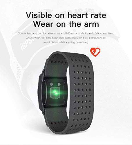iGPSPORT HR60 pulsómetros Brazalete Compatible con Ant+ y Bluetooth Impermeable IPX7 Sensor Óptico de Frecuencia Cardíaca