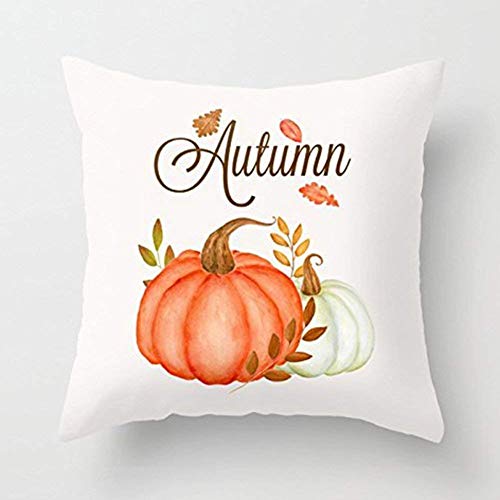 imndjz 18 X 18 Inches Autumn Pumpkin Super Soft Throw Pillow Case Cushion Cover Home Decor For All Saints' Day Gifts Thanksgiving Day Gifts New Year'S Gifts