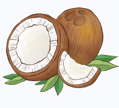 Inecto Naturals, Champú Hidratante de Coco 500 ml