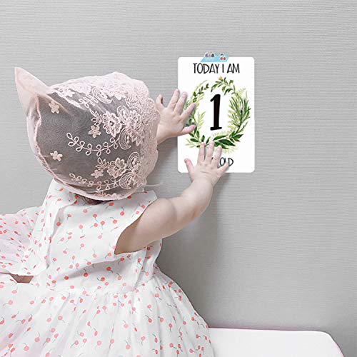 Inntek 24 pcs Baby Milestone Cards, Regalo Babyshower, Tarjeta de Momento de Bebé, Hito de Bebé, Recuerdo de Bebé 10.16 * 15.24CM para Primer Año de Bebé Regalo Conmemorativo