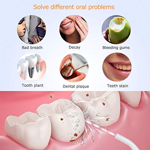 Irrigador Dental, Irrigador Bucal Portátil para Dientes con Depósito de 300 ml, 4 Boquillas para Viaje y Familia, USB Recargable