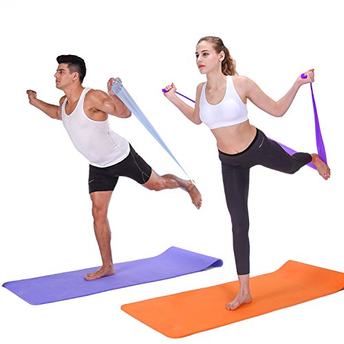 IVIM Bandas de Resistencia con látex de 2,3 Metros, Ejercicio en Cualquier Lugar, en casa y Viajando, tonificando los músculos, perdiendo Peso, Pilates, Yoga, entrenando el Cuerpo estirando