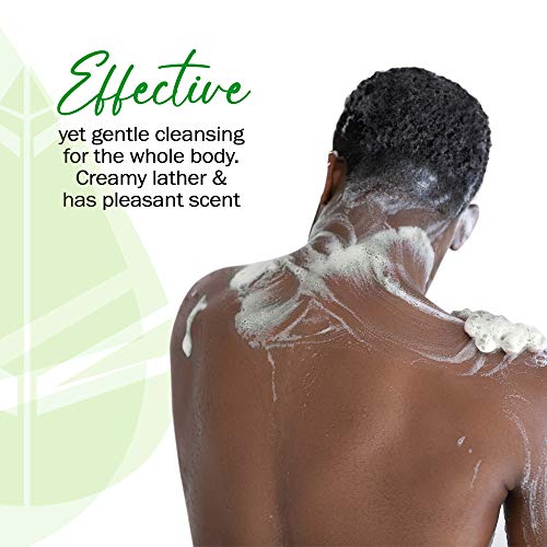 Jabón de Carbón Activo – Limpiador Facial y Corporal – Tratamiento Natural Acné, Psoriasis, Olor Corporal, Piel Grasa – Limpiador de Poros Orgánico, Jabón Limpieza Facial/Corporal 300g (Pack de 3)