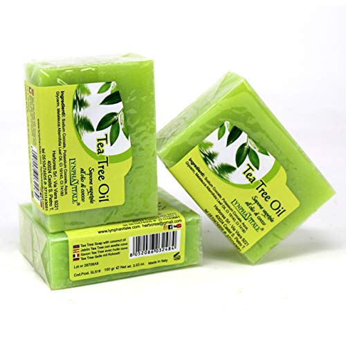 Comprar jabon de te verde 🥇 【 desde 1.99 € 】 Estarguapas Comprar jabon de te verde 🥇 【 desde 1.99 € 】 Estarguapas