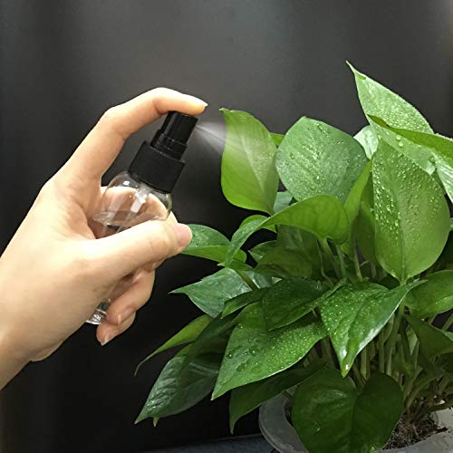 JamHooDirect - Juego de 6 pulverizadores vacíos de plástico de 30 ml con 2 embudos - Mini botellas de viaje reutilizables y recargables transparentes para maquillaje cosmético