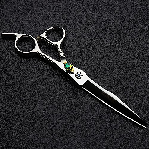 Japón 440 C peluquería Studio estilo profesional juego de herramientas para Fashion 6.0 pulgadas corte de pelo tijeras + tijeras de entresacar